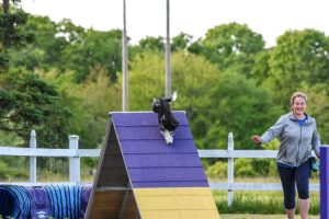 Agility Class in Exeter, RI