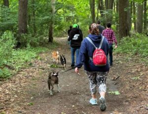 AKC Fit Dog Walk hosted by MIschief Managed's Fit Dog Club in Exeter, RI.