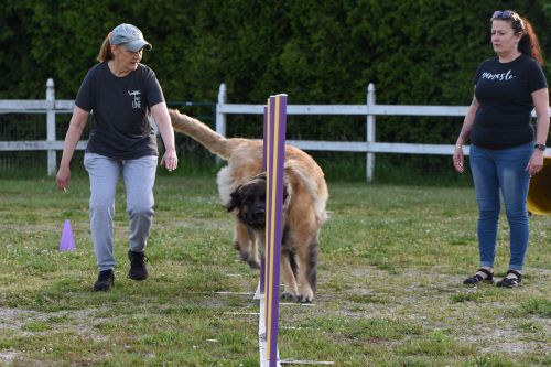 Agility: Skills & Drills – Winning Weaves!