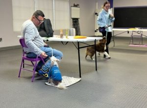 Dinner Party dog training class in Exeter, RI.