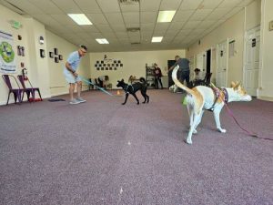 Recall Dog Training Class in Exeter, RI