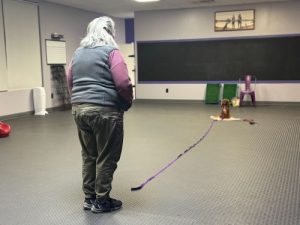 Dog/Handler Team practicing a stay with distance and duration in Exeter, RI.
