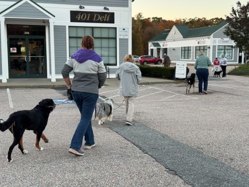 Exeter, RI Dog Training